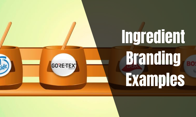 Ingredient Branding Examples